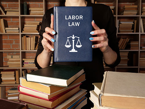 woman holding up book that says "Labor Law"
